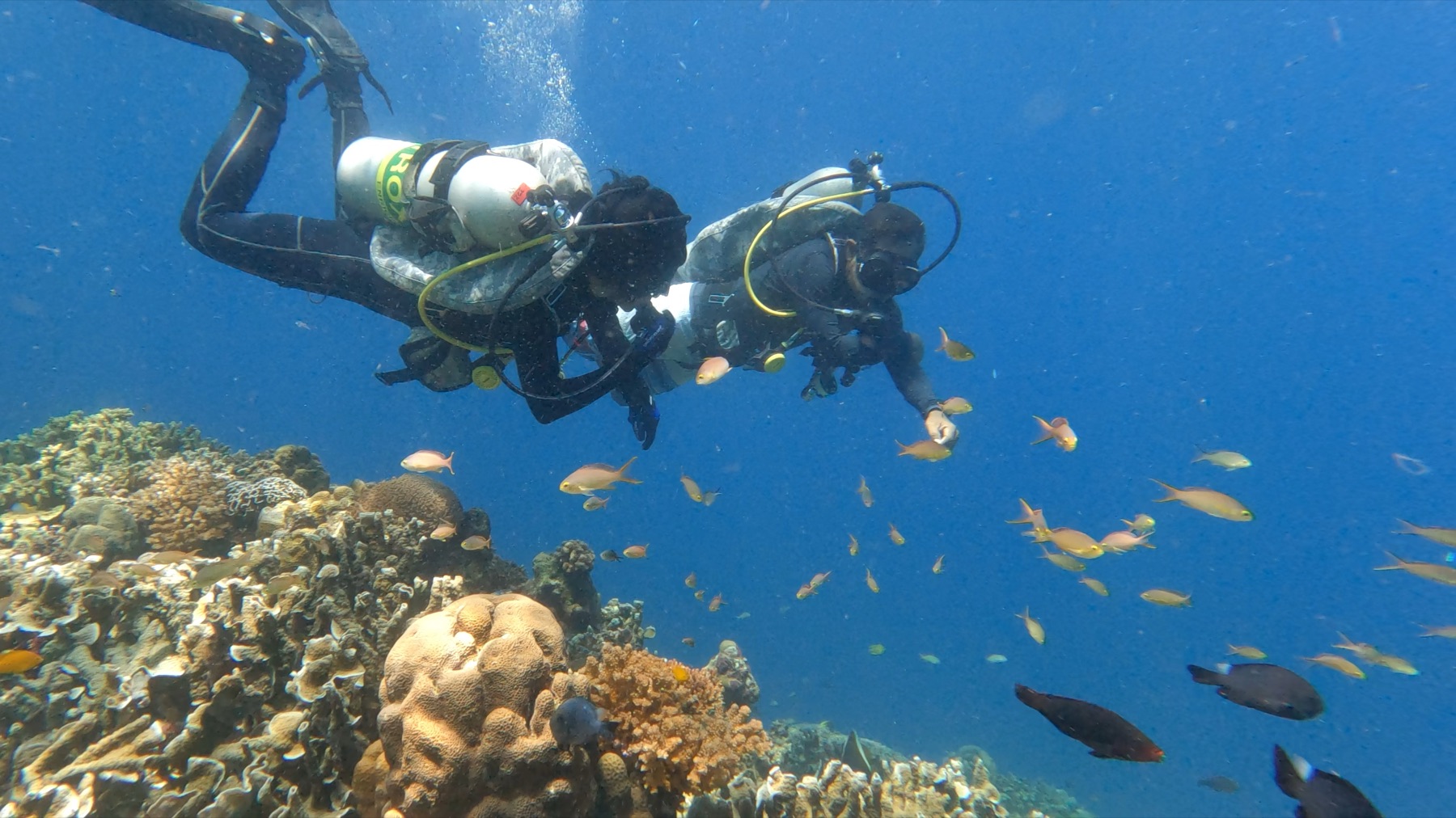 Scuba certification dive with PADI instructors