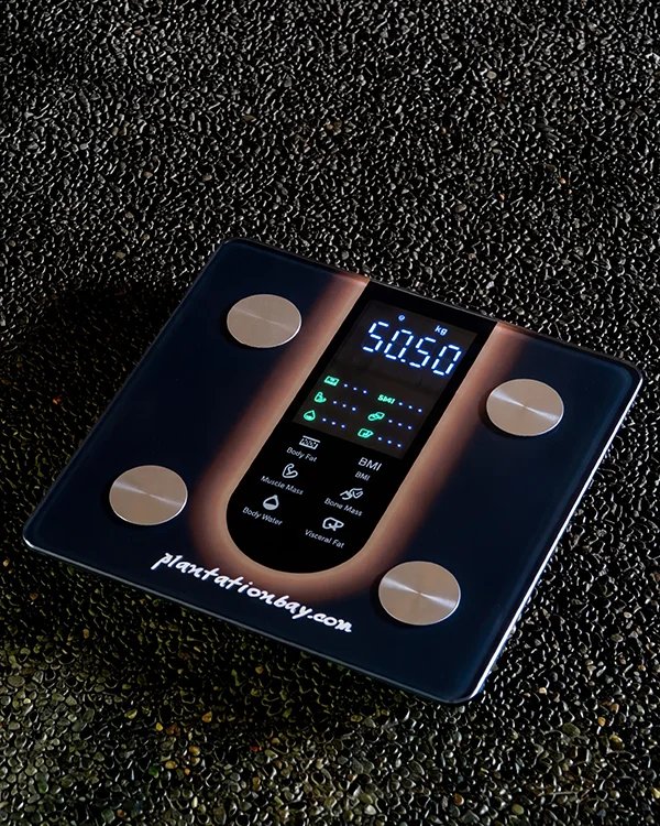Body composition scale