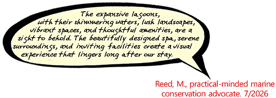Guest comment - SEE