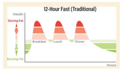 12 Hours Fast - Insulin Release Chart