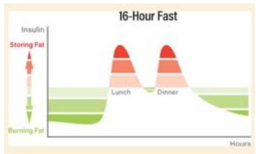 16 Hours Fast - Insulin Release Chart