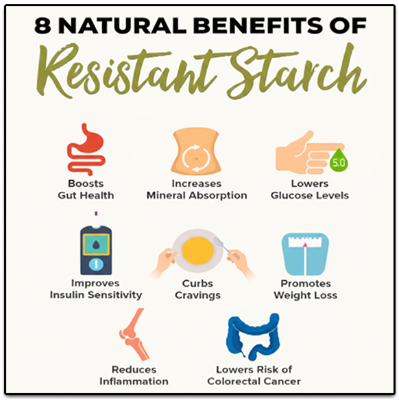 Convert your starches into resistant