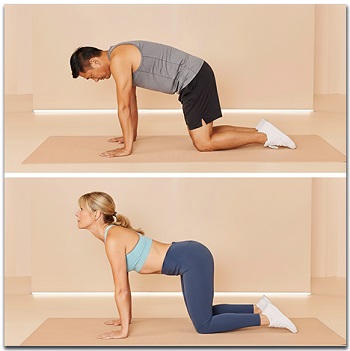 Cat and Cow exercise