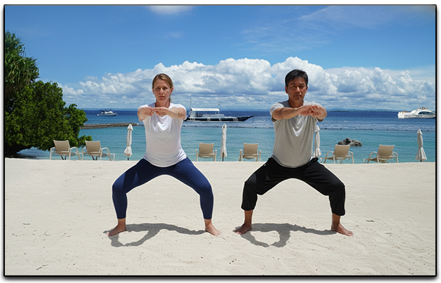 Horse Stance Exercise
