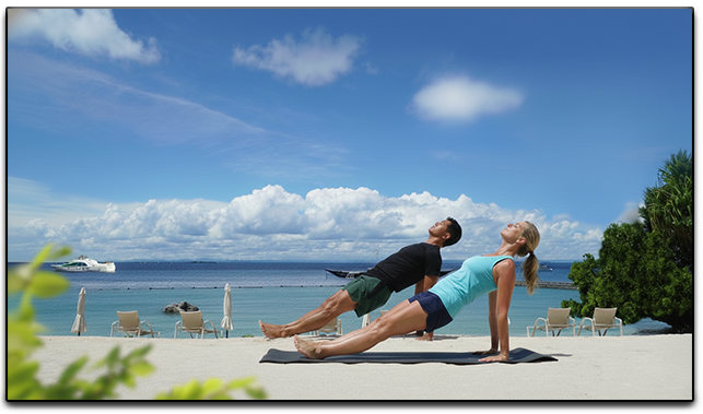 Reverse Plank Exercise